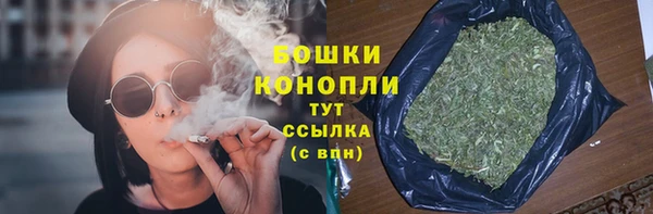 ГАЛЛЮЦИНОГЕННЫЕ ГРИБЫ Абаза
