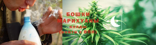 ГАЛЛЮЦИНОГЕННЫЕ ГРИБЫ Абаза