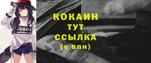 ГАЛЛЮЦИНОГЕННЫЕ ГРИБЫ Абаза