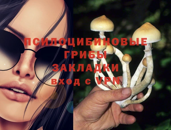 МДПВ Абинск