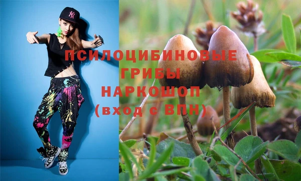 МДПВ Абинск